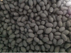 陜西哪里有賣荷花種子的？