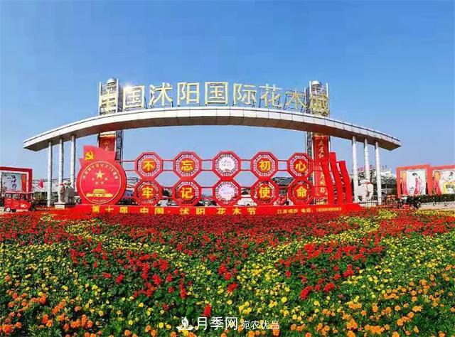 值得收藏！這些全國著名苗木產(chǎn)地你知道幾個(gè)？