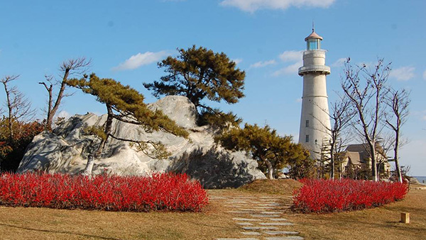 1609905037812232.jpg 4.jpg